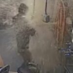 WATCH: Minnesota craft brewery worker knocked to ground by beer geyser after beverage bursts from tank
