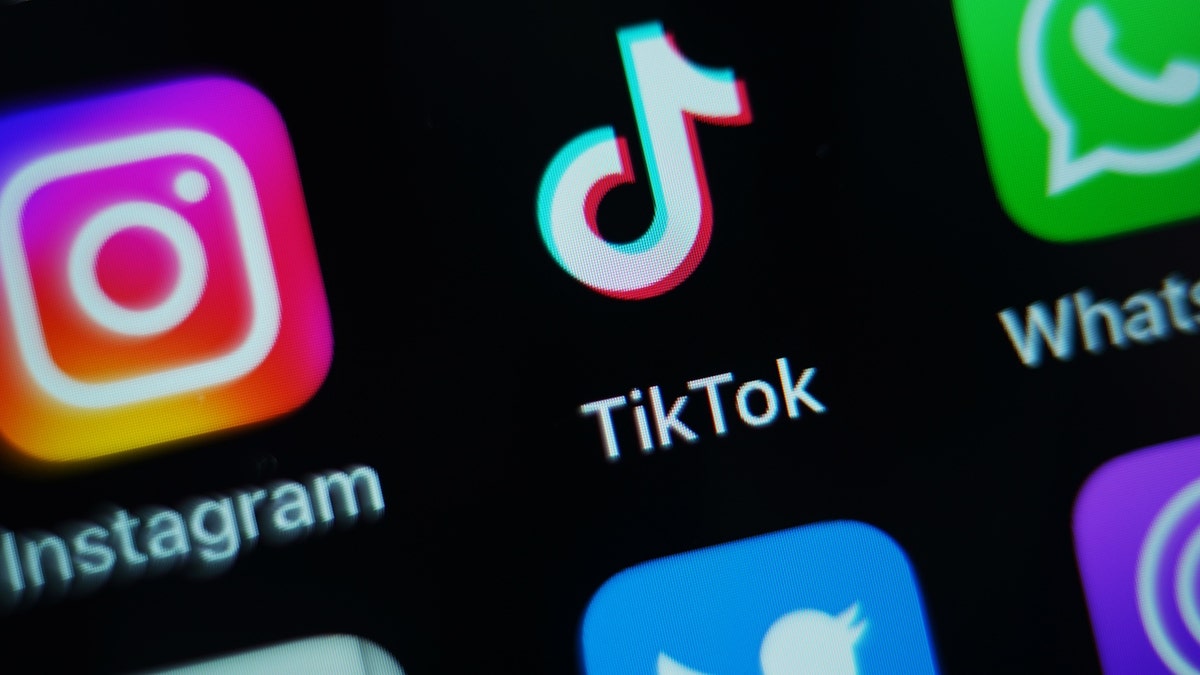 The app for TikTok on a phone screen with other social media apps