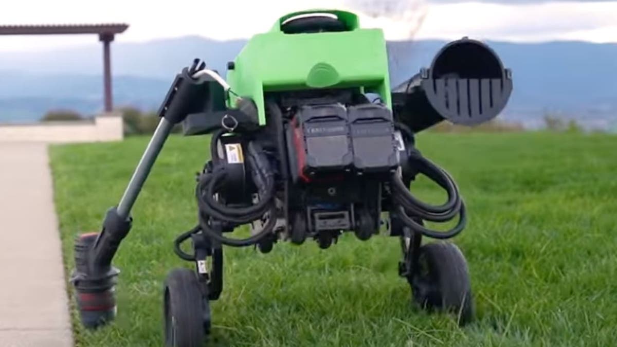AI robot that can trim, edge, blow your lawn for you