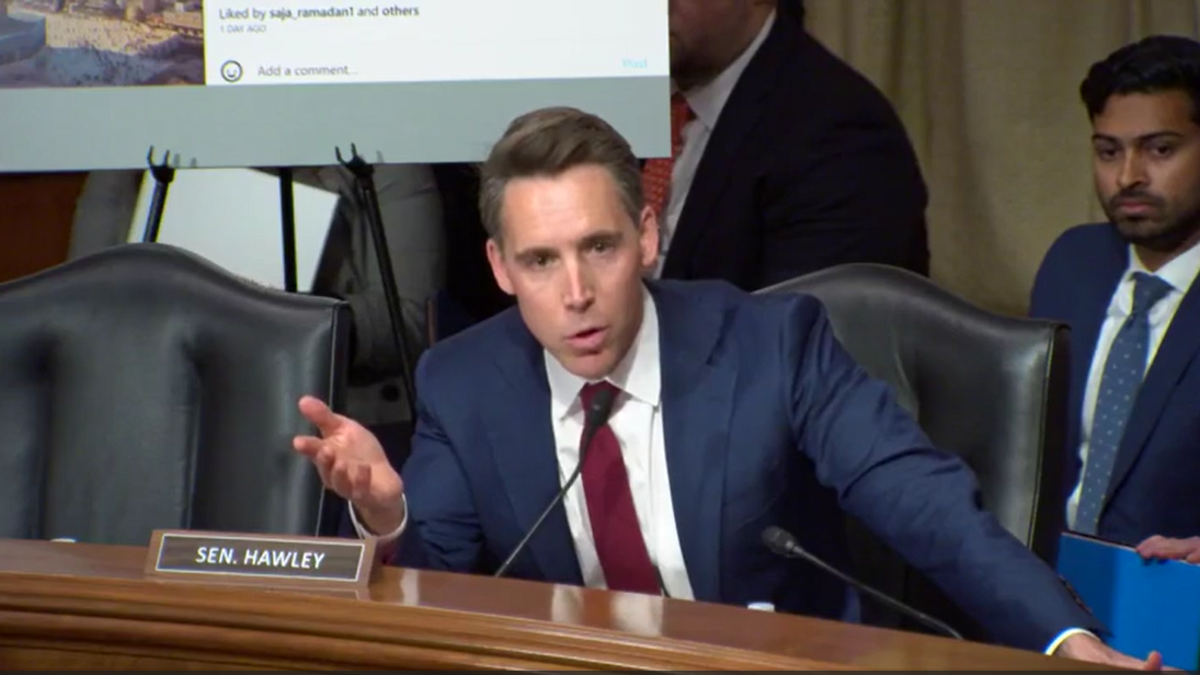 Hawley in a hearing