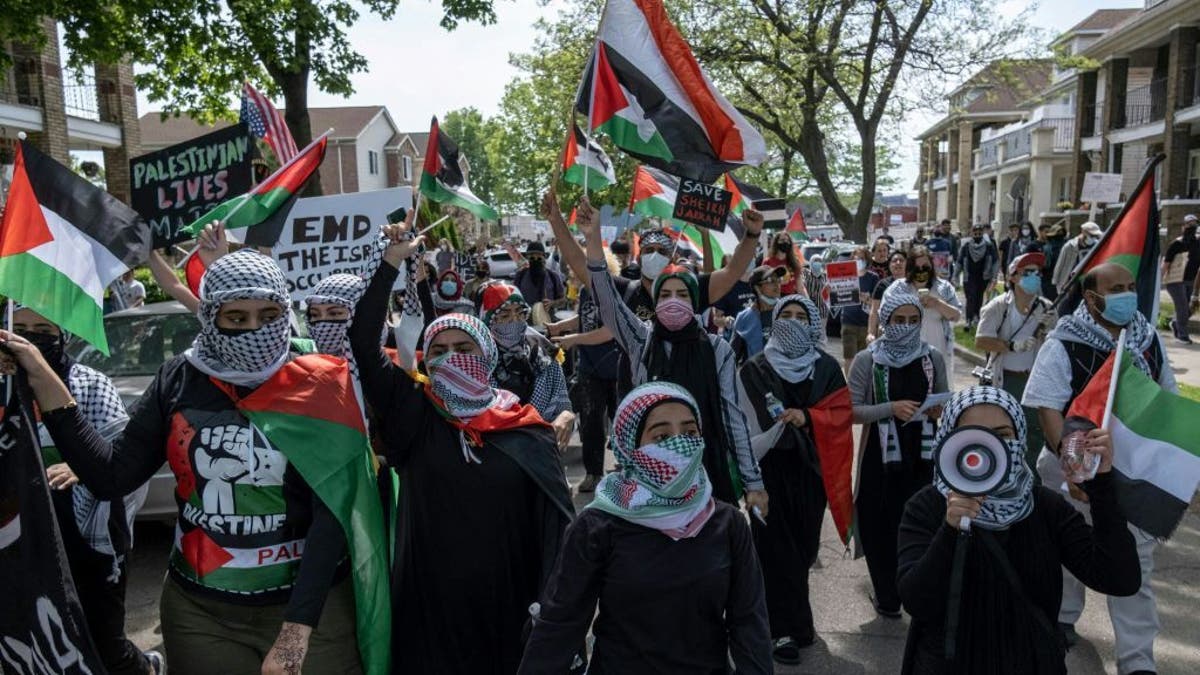 pro-Palestinian march in May 2021 in Dearborn, Michigan