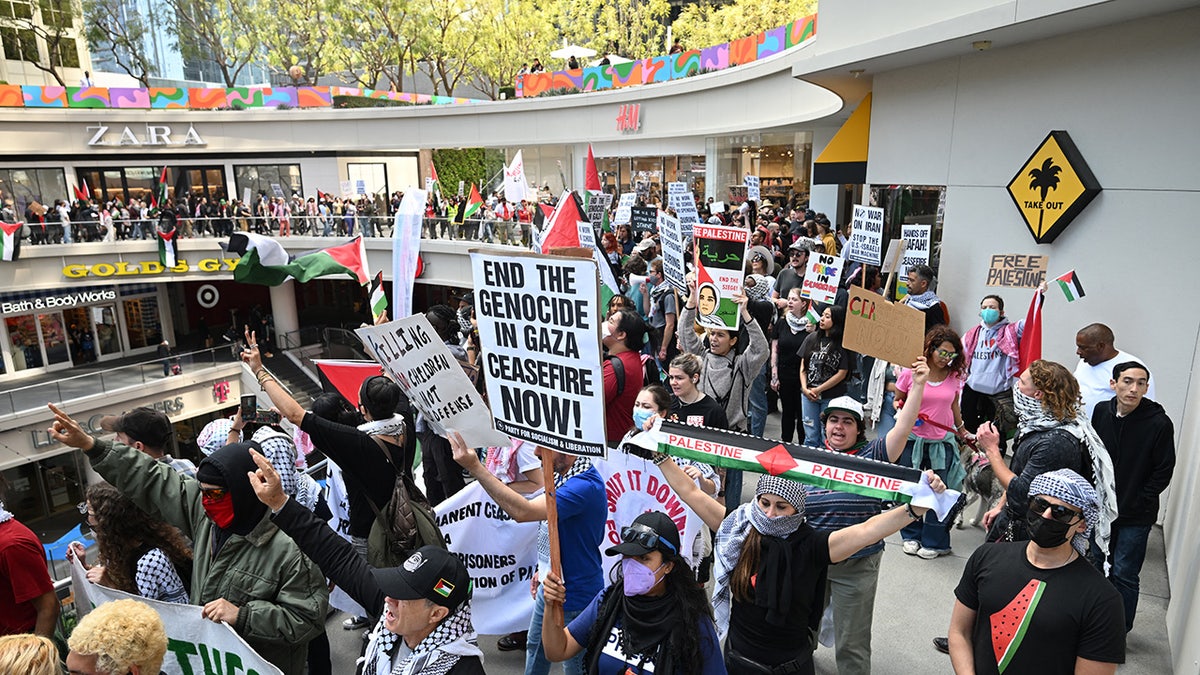 anti-Israel demonstrators at LA mall