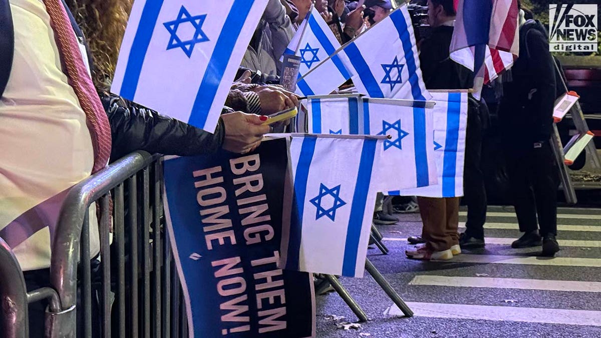 Israeli flags at pro-Israel rally