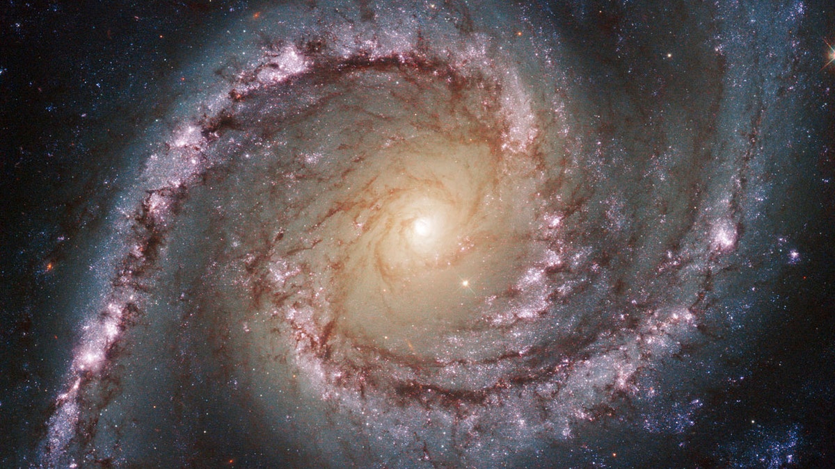 File photo - an undated Hubble image shows NGC 1566, a galaxy located about 40 million light-years away in the constellation of Dorado (The Dolphinfish). 