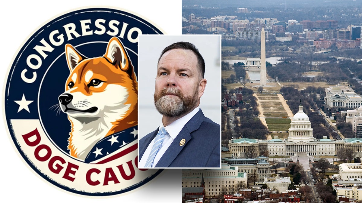 The Drain the Swamp Act has been introduced in the House or Representatives.