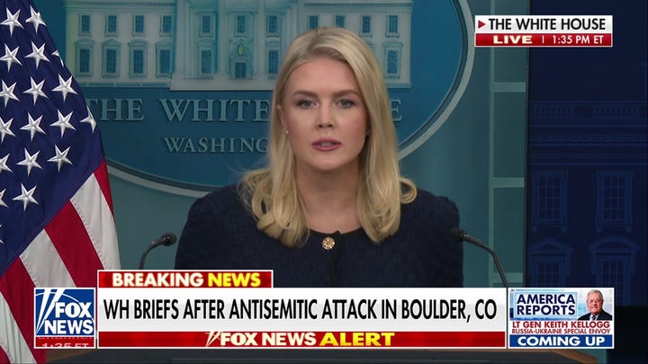 White House defends 'big beautiful bill' following Musk criticism calling it 'disgusting' 
