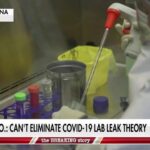 New WHO report fails to rule out COVID-19 lab leak origin as China continues to impede investigation