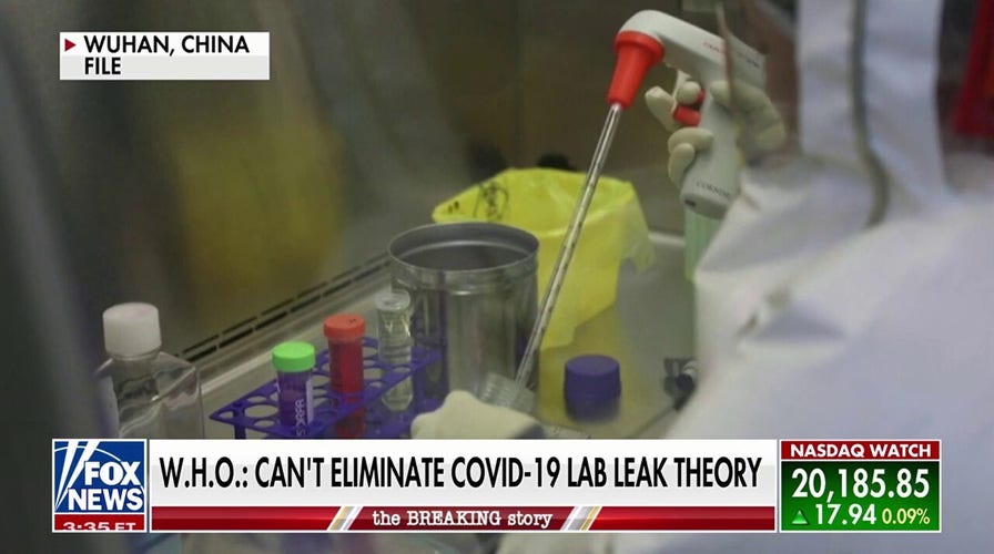 LAB LEAK?: Origins of COVID-19 released in World Health Organization report