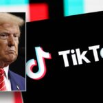 The politics of shamelessness: a survival tactic from Trump to party loyalty