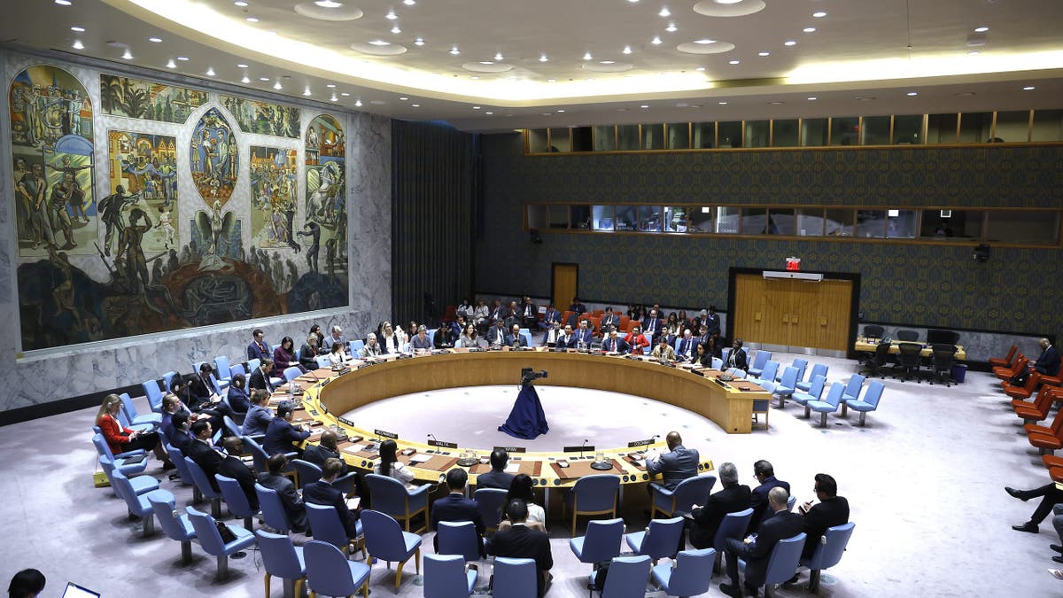 UN Security Council in session