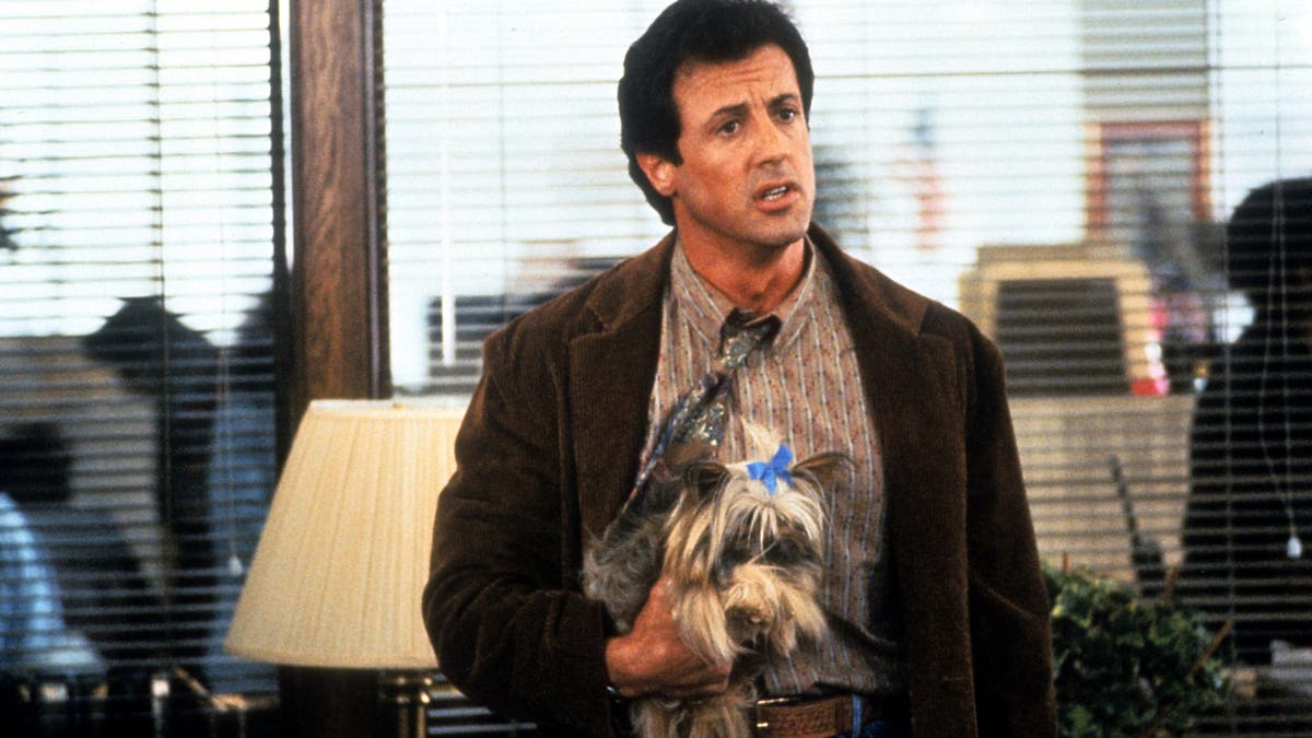 Sylvester Stallone in 'Stop! Or My Mom Will Shoot'
