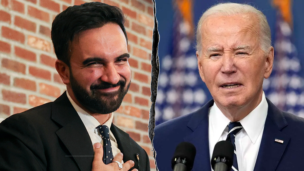 Democratic strategists have said Assemblyman Zohran Mamdani's New York City primary win signals a "generational" change in the Democratic Party. 