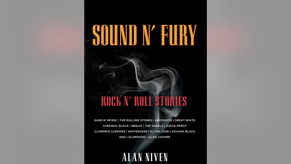 Book cover for Sound N' Fury