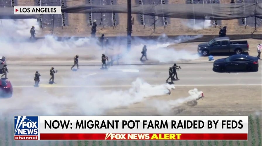 BREAKING: Migrant marijuana farm raided by feds