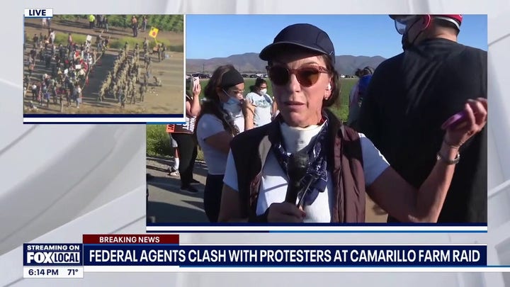 Federal agents clash with protesters at Camarillo farm raid