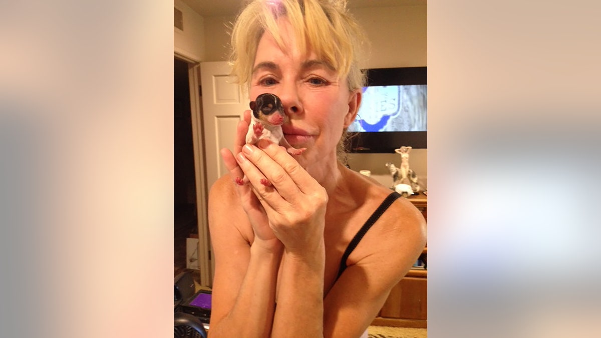 Jenilee Harrison holding a puppy.