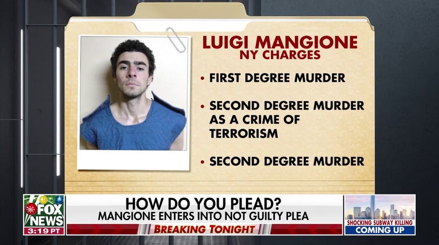 Luigi Mangione enters 'not guilty' plea in murder case