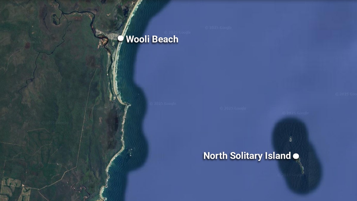 Surfer drifts from Wooli Beach in New South Wales to island nearly 8 miles offshore