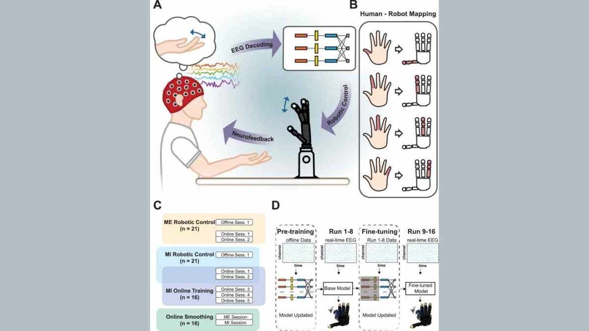 brain tech 3