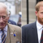 Prince Harry and King Charles’ top aides secretly meet in bid to mend royal rift: report