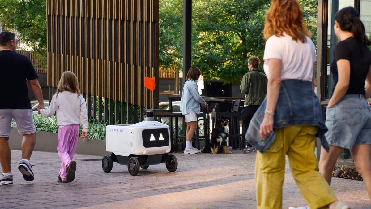 uber robots 7