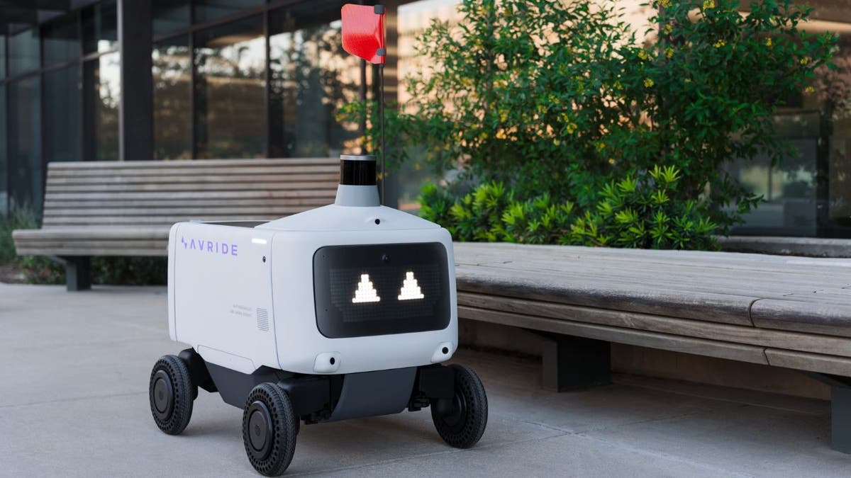 uber robots 4