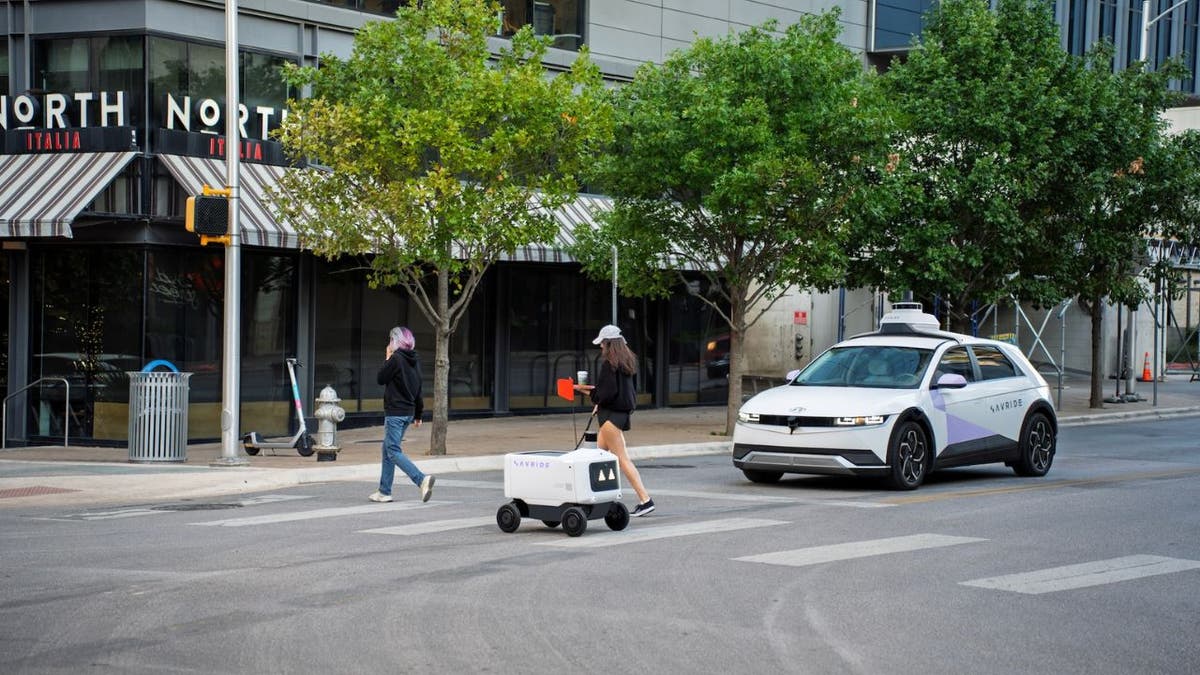 uber robots 2