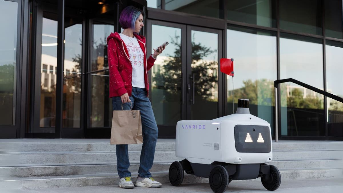 uber robots 6