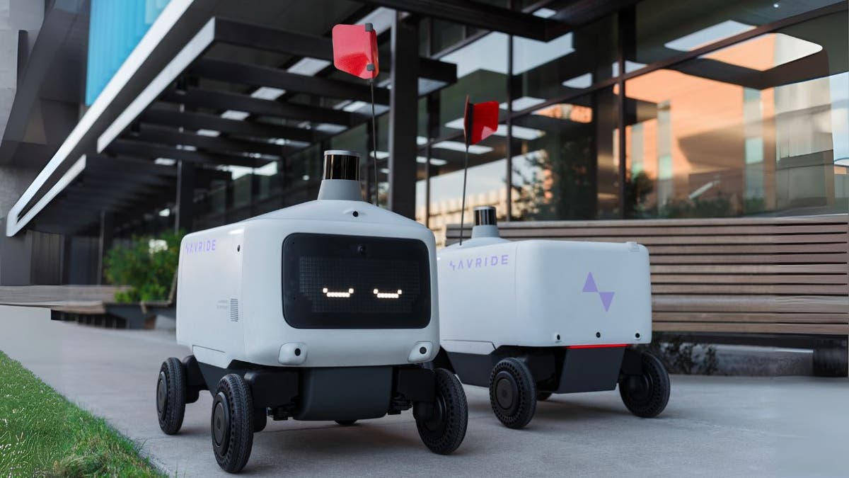 uber robots 5