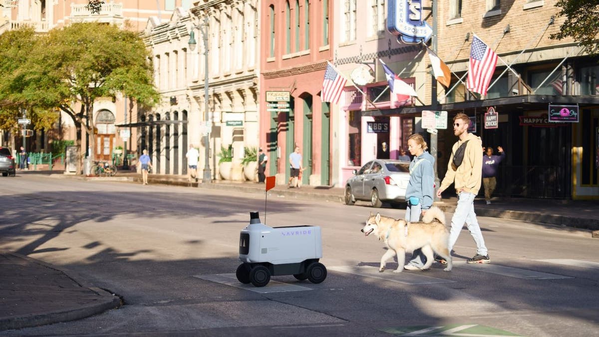 uber robots 8
