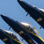 Seattle woman takes Navy’s Blue Angels to court over social media censorship and ‘acoustic torture’ of cat