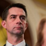 Senate Republican moves to give US an edge on China in harvesting minerals for weapons systems