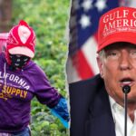 Trump pitches plan allowing farmers to vouch for illegal immigrant workers facing deportation