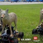 US Army tests robot coyotes to prevent catastrophic bird strikes