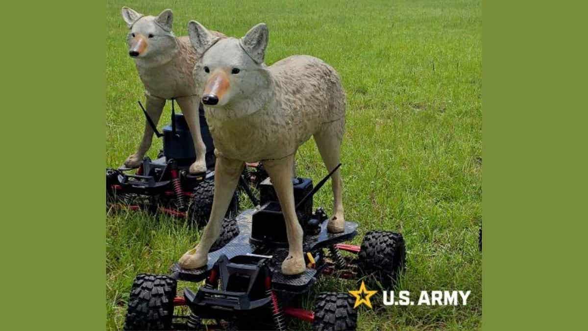 coyote robot 3