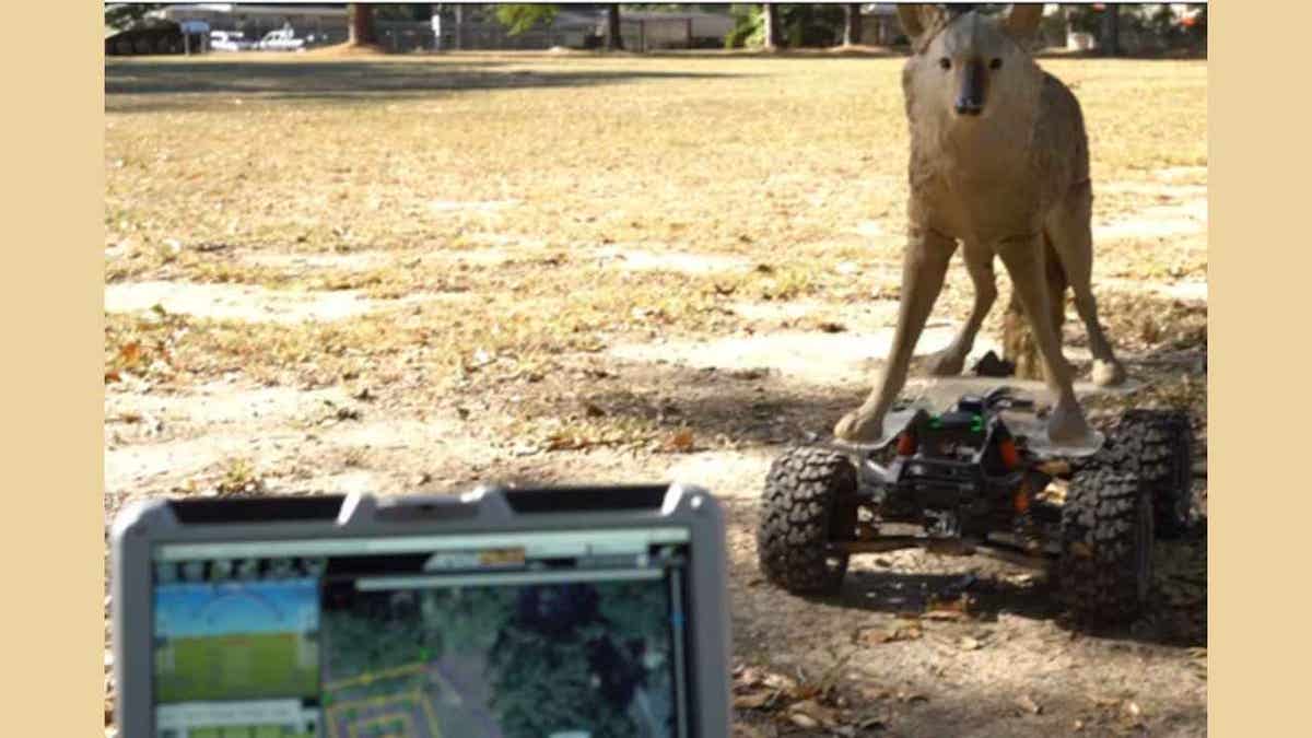 coyote robot 2