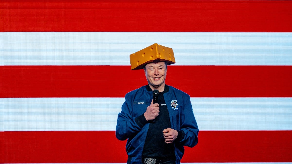 Elon Musk 
