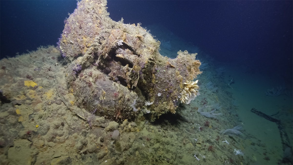 The unique structure and stamps on the base of the anchor, with 