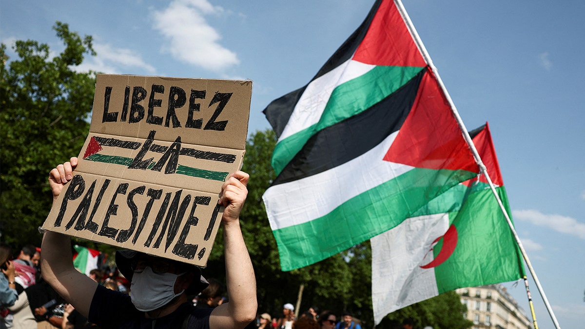 Protester holds a "Free Palestine" sign