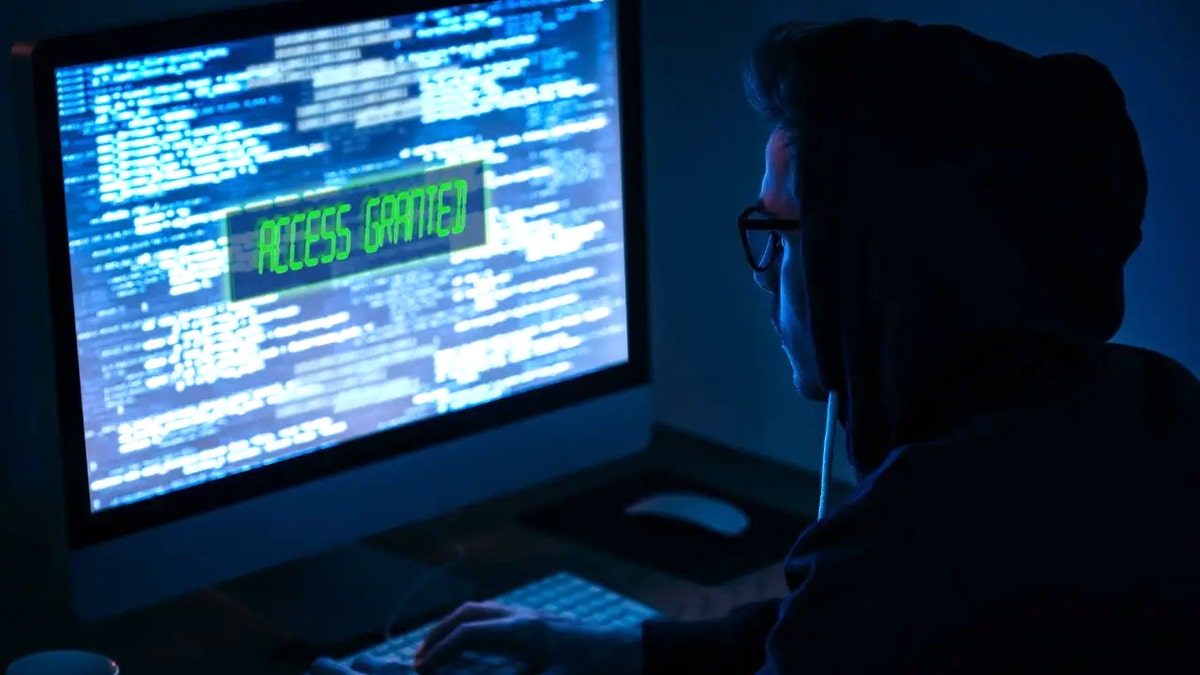 Person looks at their computer screen full of code and the phrase "access granted."