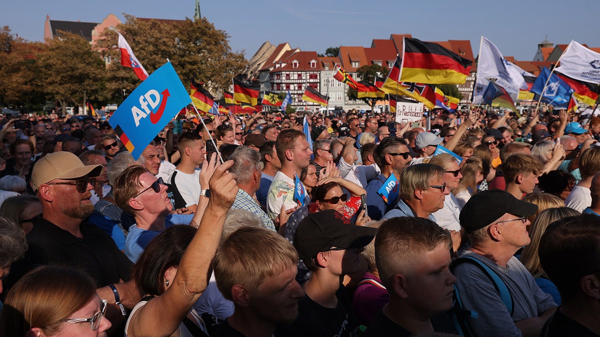 Alternative for Germany rally
