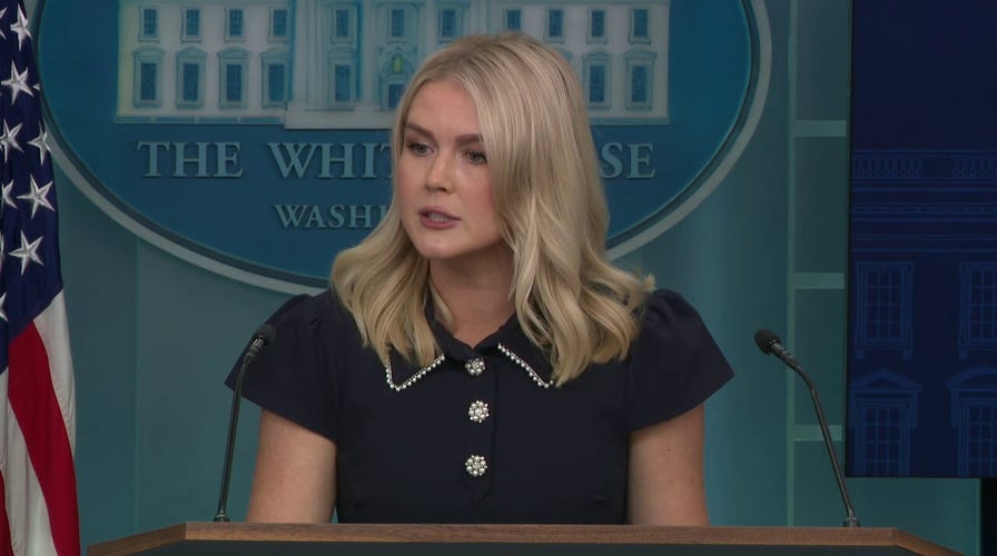 White House shares why Zelenskyy won't be present at Trump, Putin talks