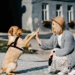 Would you date your pet? 1 in 3 say yes to AI version