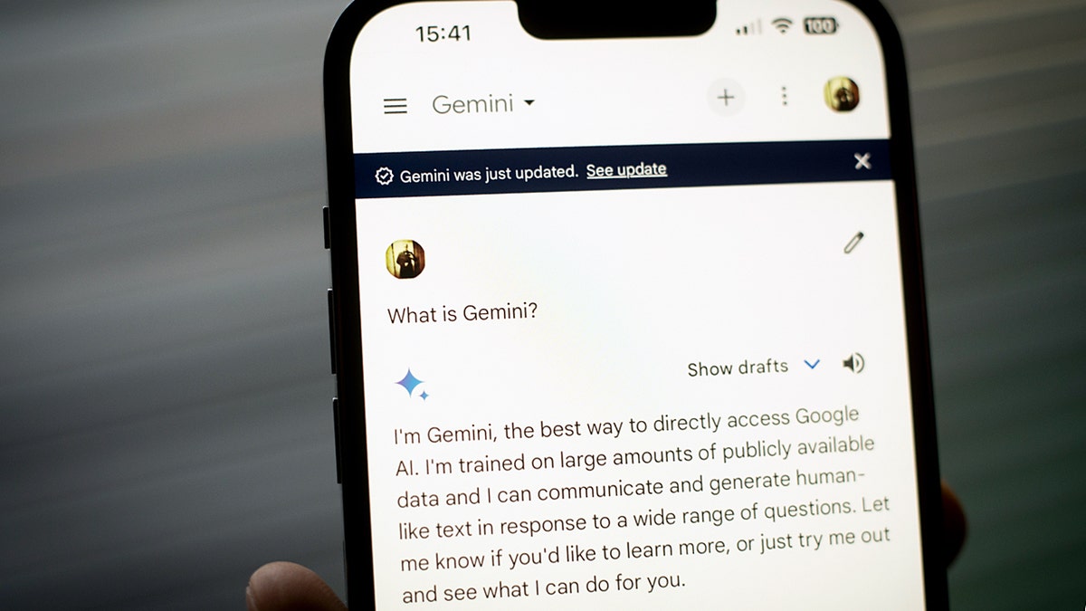 Google Gemini chat