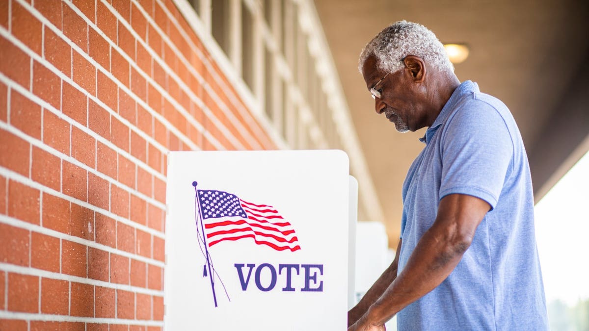 Elderly man votes at booth.