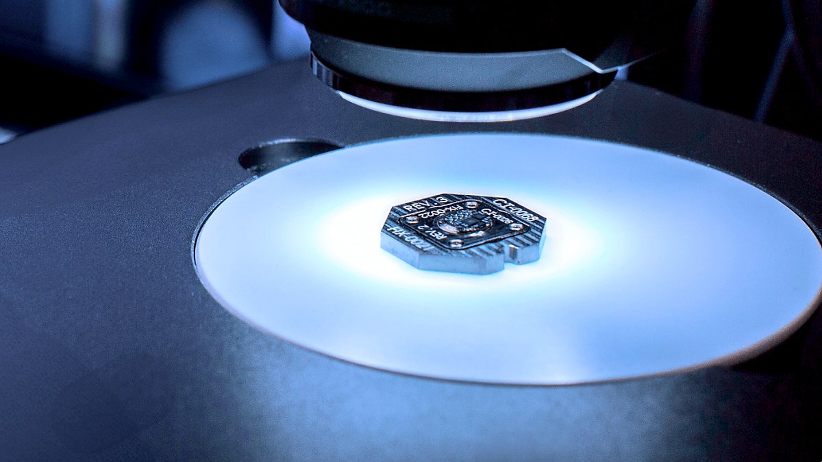 Brain chip lying on a surface under a microscope.