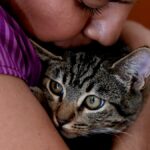 AI photo match reunites Texas woman with lost cat after 103 days