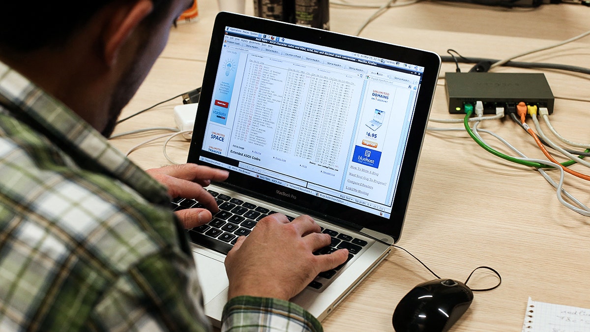 Person using their computer.