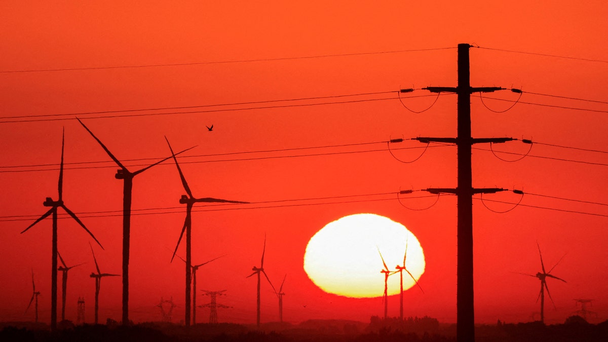 Power-generating windmill turbines and electricity pylons are pictured during sunrise at a wind park in Avesnes-le-Sec, France, September 8, 2023. 